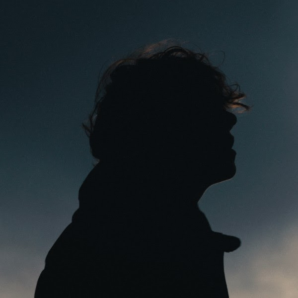 Silhouette von Skofi schulteraufwärts vor einem dunkelblauen Himmel